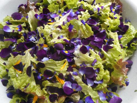 Salada de flores